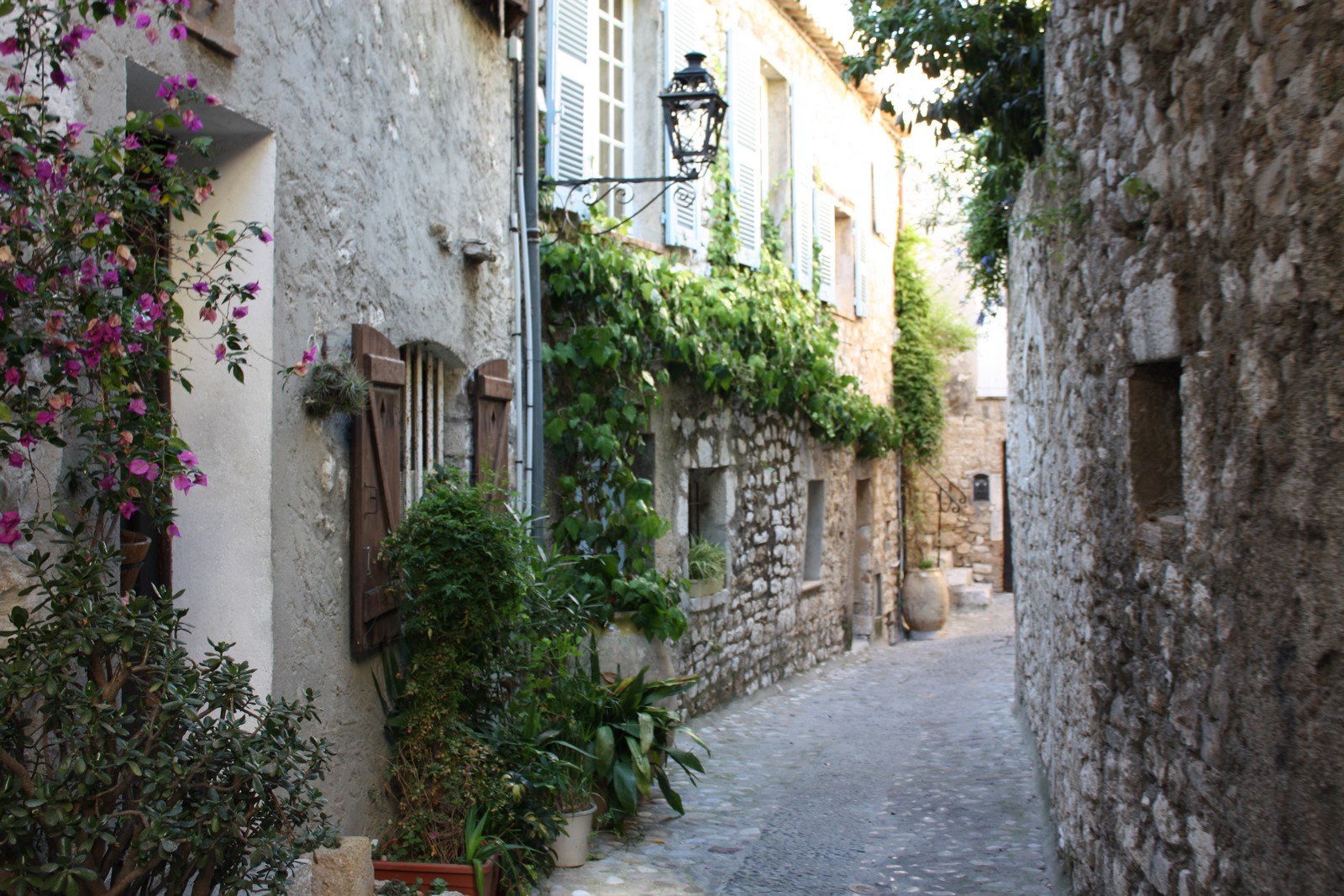 Vence